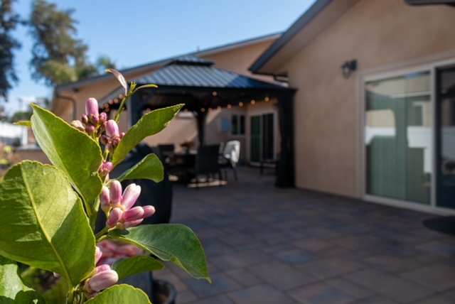 Beautiful senior living facility