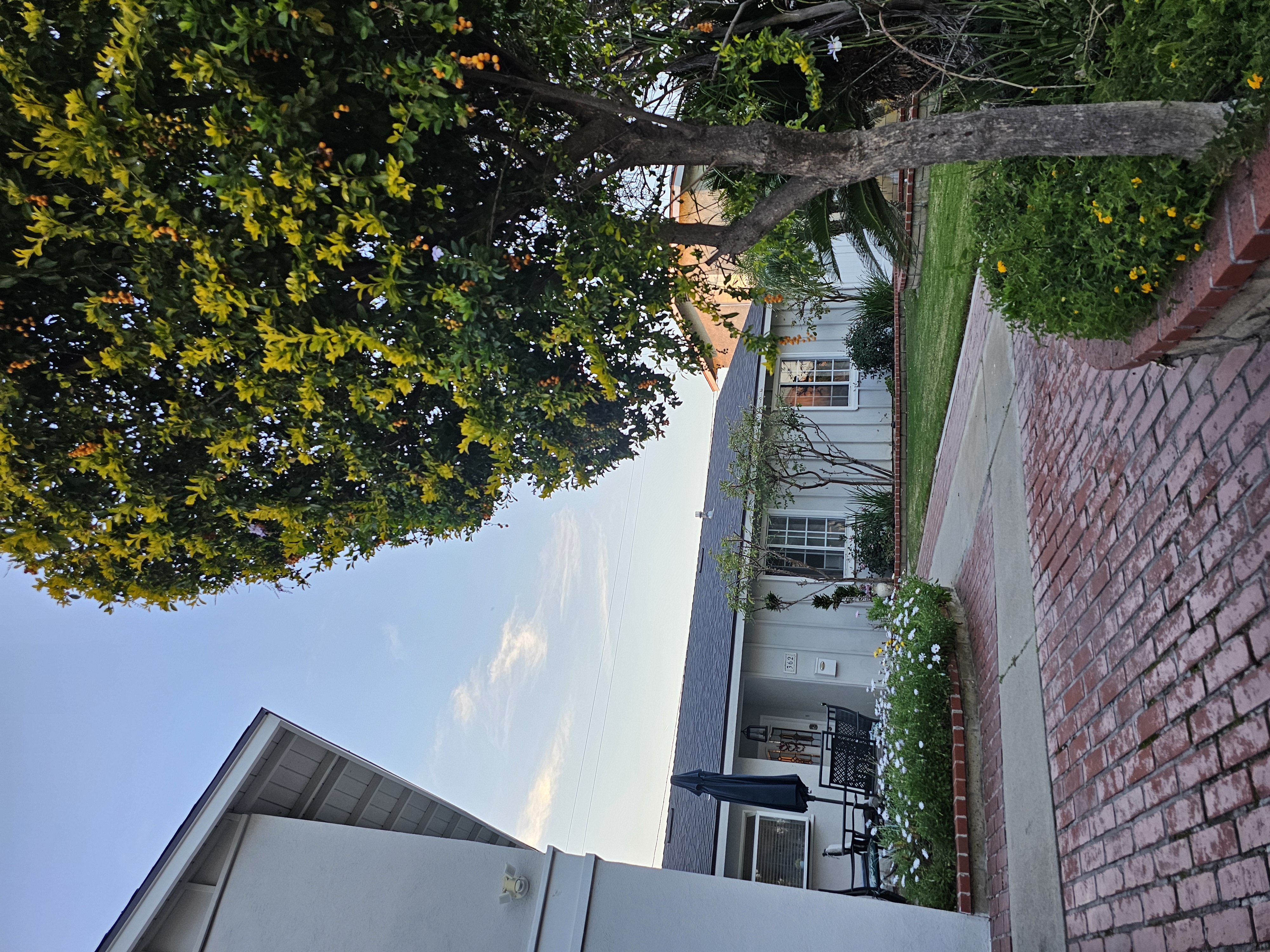 Evergreen Adult Home Care At Orange - All Photos photo 2